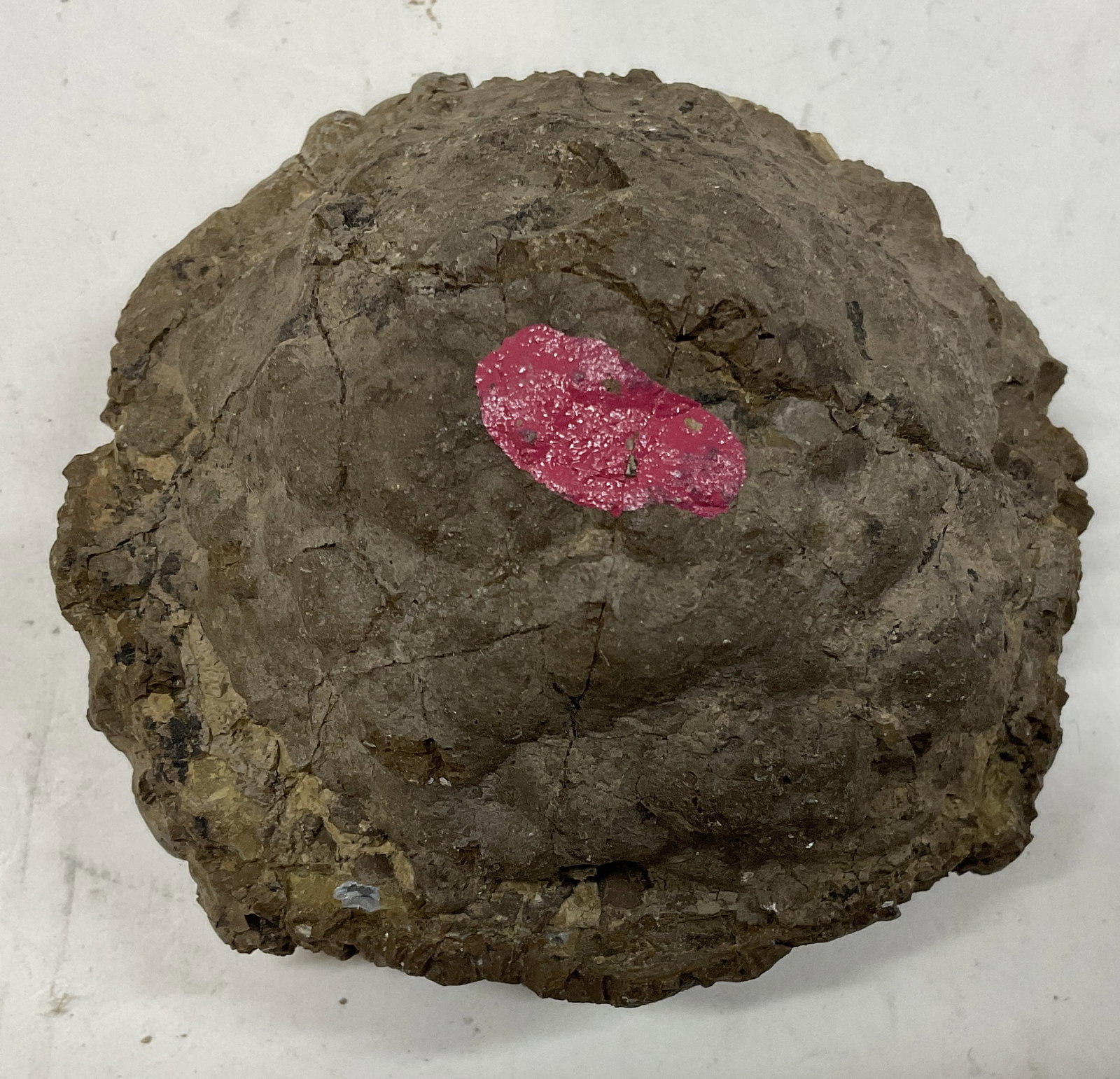 Volcanic Rock Structure - 4