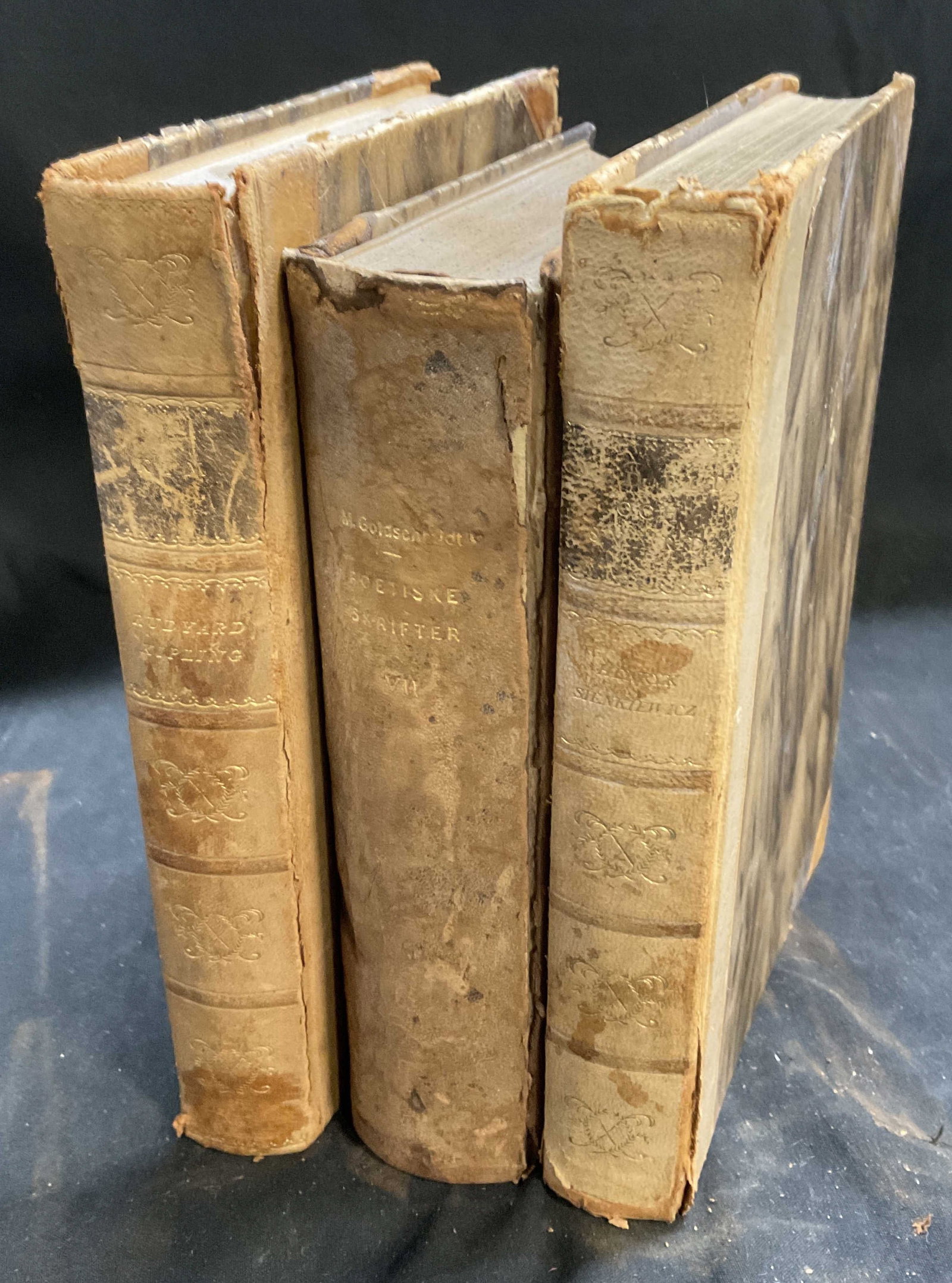 Lt3 ANTQ+ SWEDISH and DANISH Books (1 of 12)