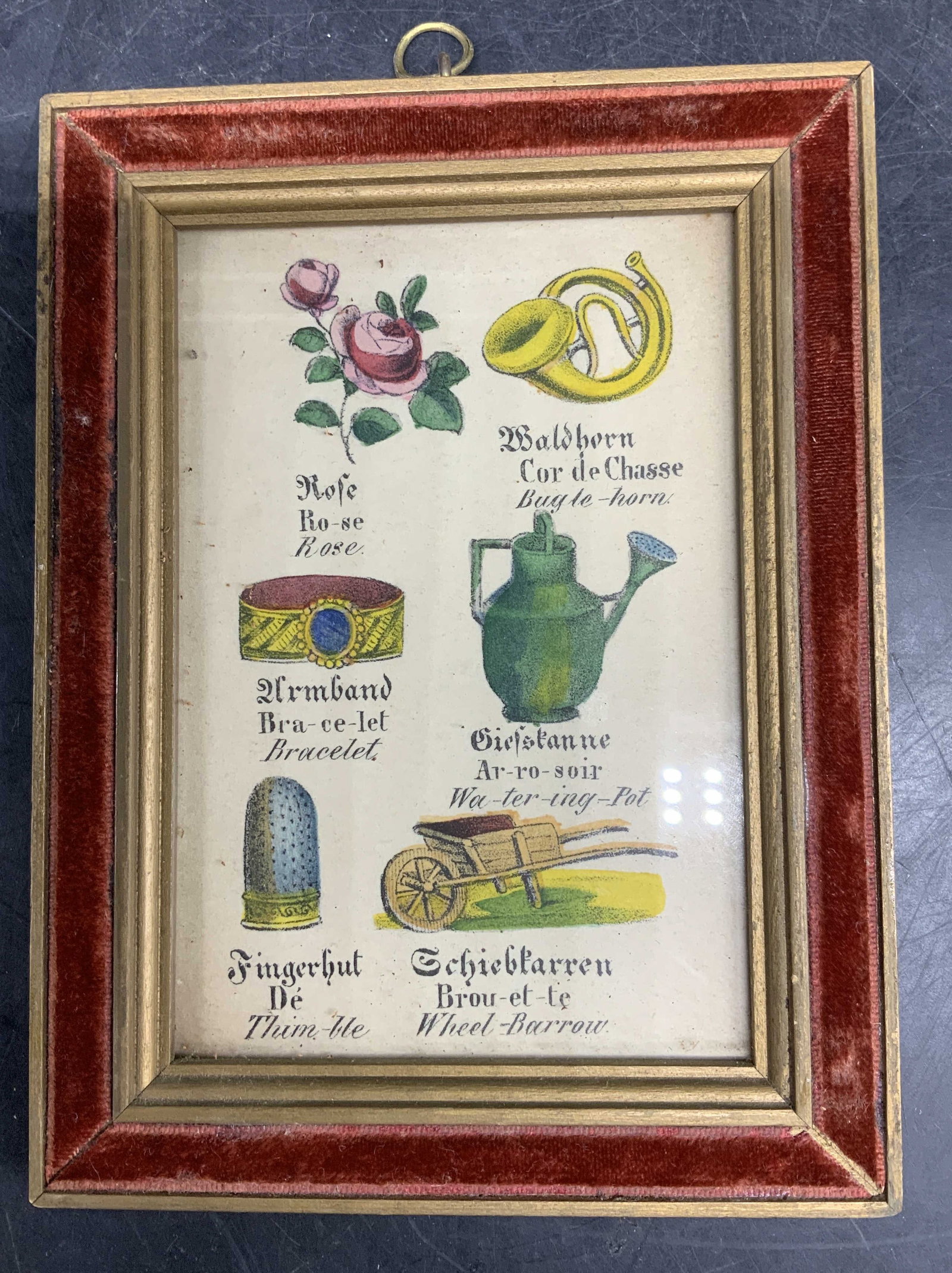 Antq Framed German-fr botanical Lang Chart