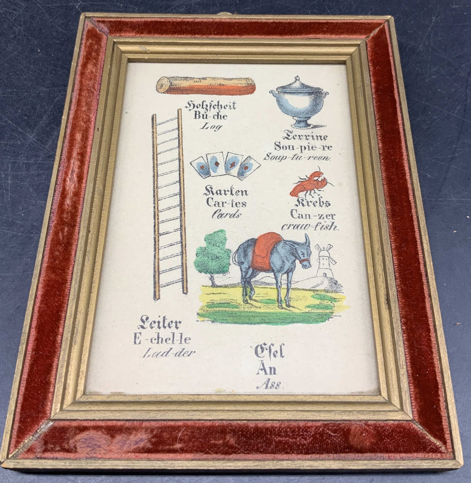 Antq Framed German-Fr Illustr Language Chart (1 of 7)