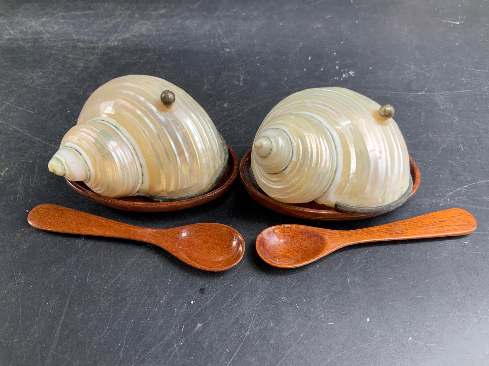 Pr Nautilus Shell Dish Spoon Sets w Box - 2