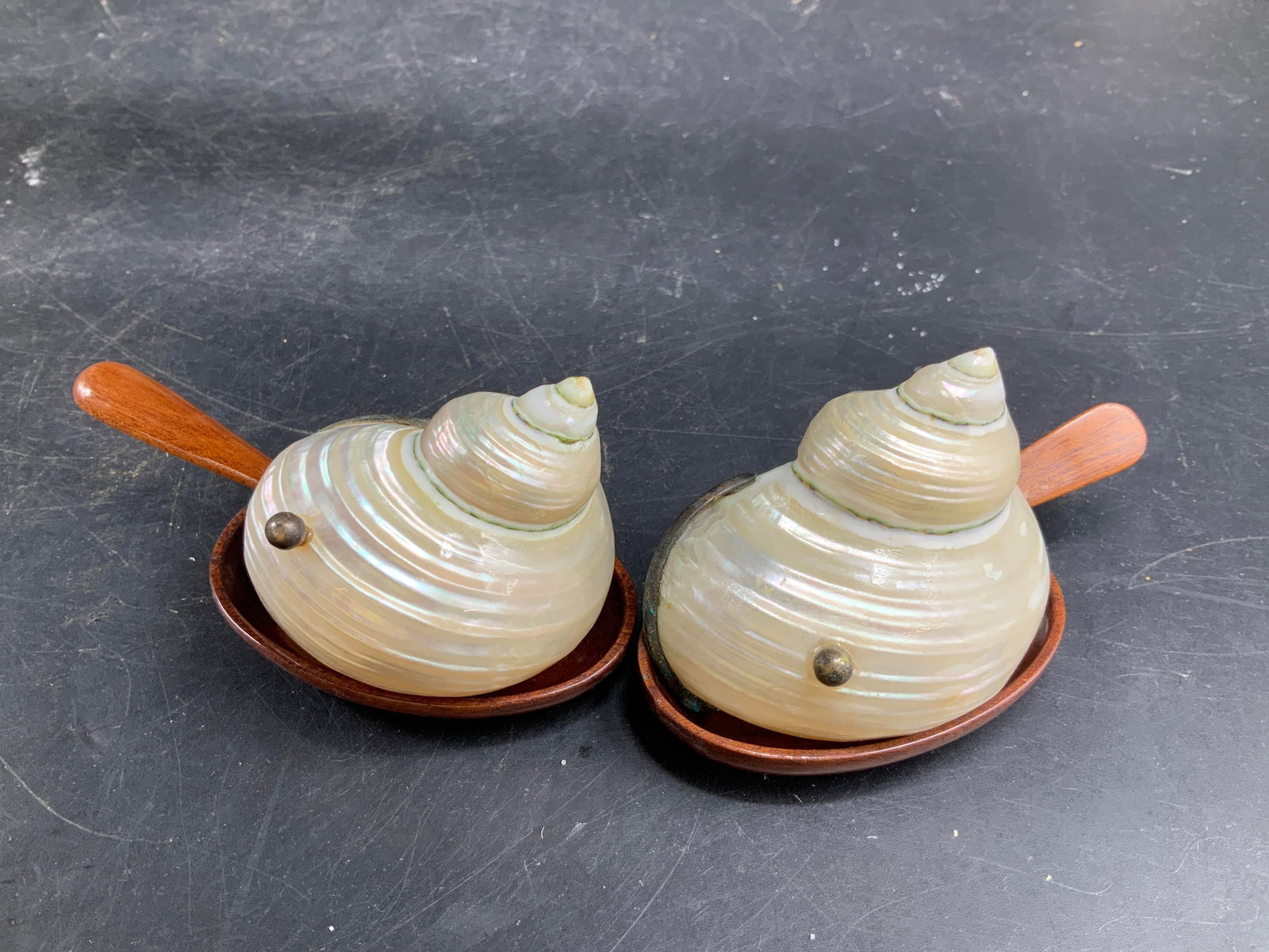 Pr Nautilus Shell Dish Spoon Sets w Box - 5