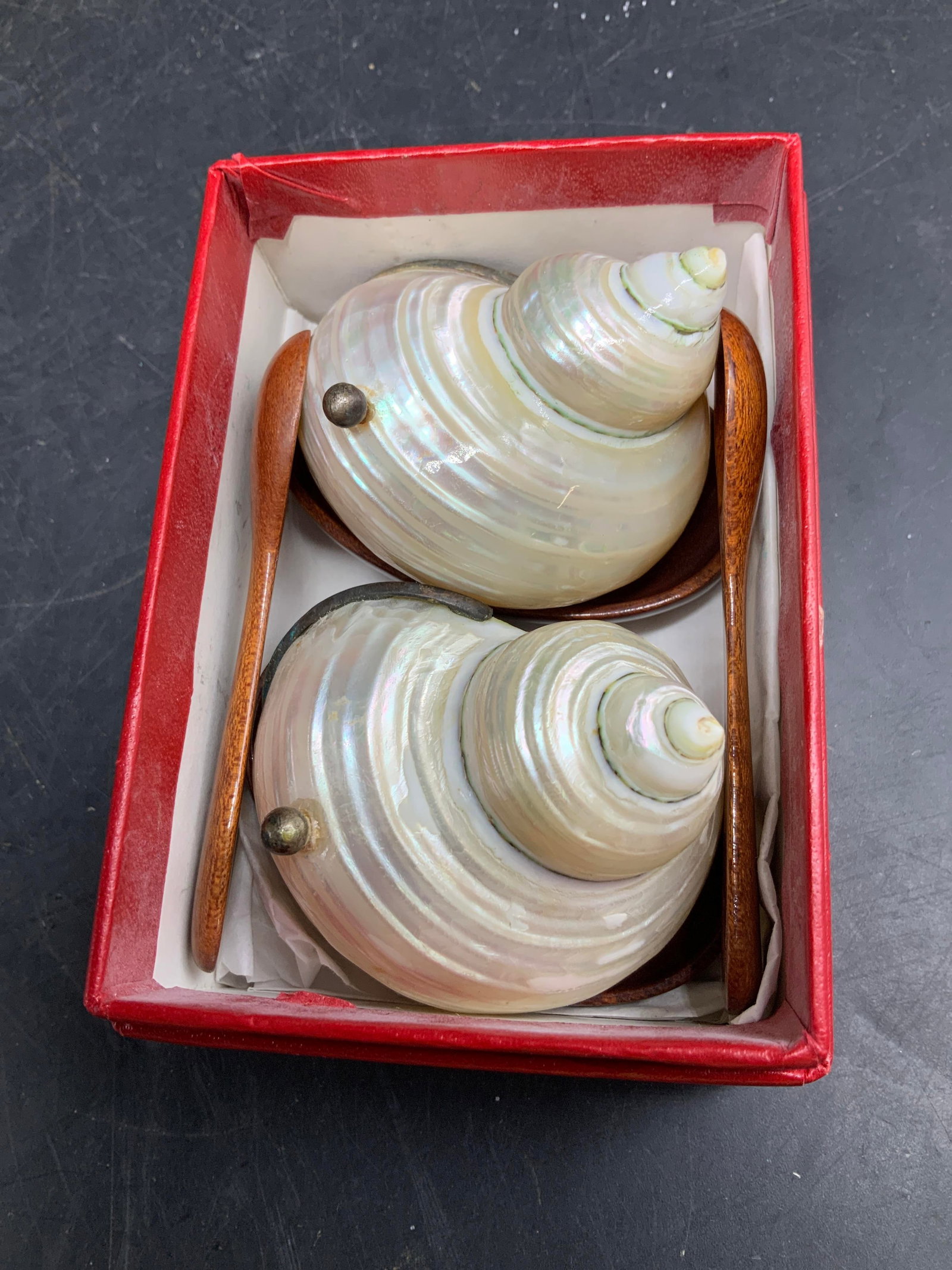 Pr Nautilus Shell Dish Spoon Sets w Box - 6