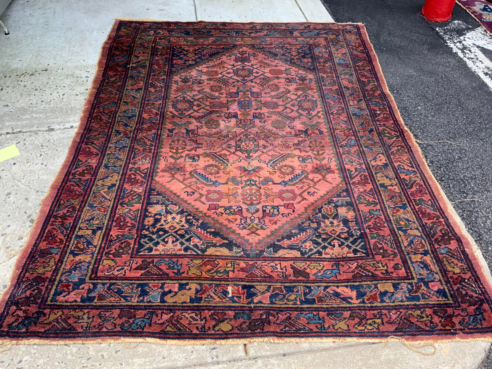 Vntg hand knotted Persian Zanjan Rug