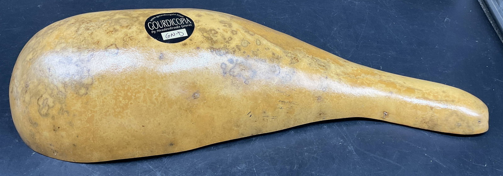 Meadow Brooke Gourd GN-D Gord Figural: Gourd figural from meadowbrooke gourds, , measures 17 inches length by width app 8 inches, ht app 3 inches, collectible Gourd