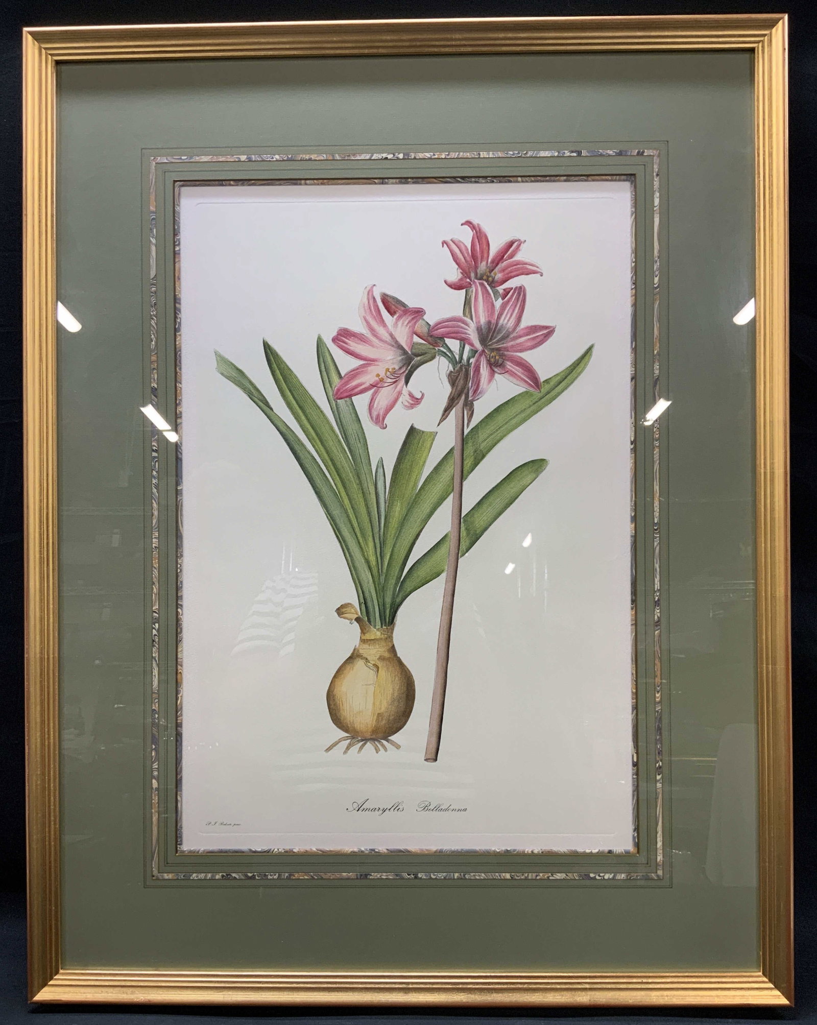 Sgnd Redoute Botanical Etching, Framed (1 of 8)