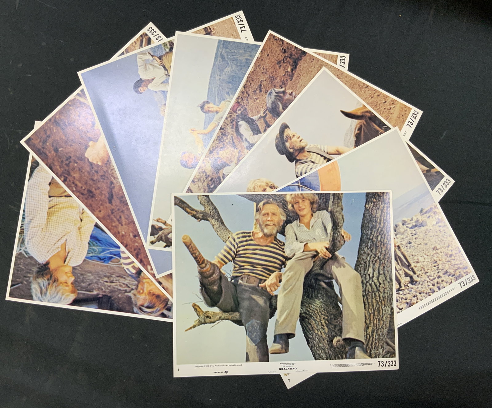Lt8 Vtg 1973 Scalawag Original Lobby Cards: Lot of 8 vintage 1973 Scalawag original lobby cards. Complete set, studio issued promotional lobby cards from film directed by Kirk Douglas. Actors Kirk Douglas, Mark Lester, Danny Devito, Leslie Anne