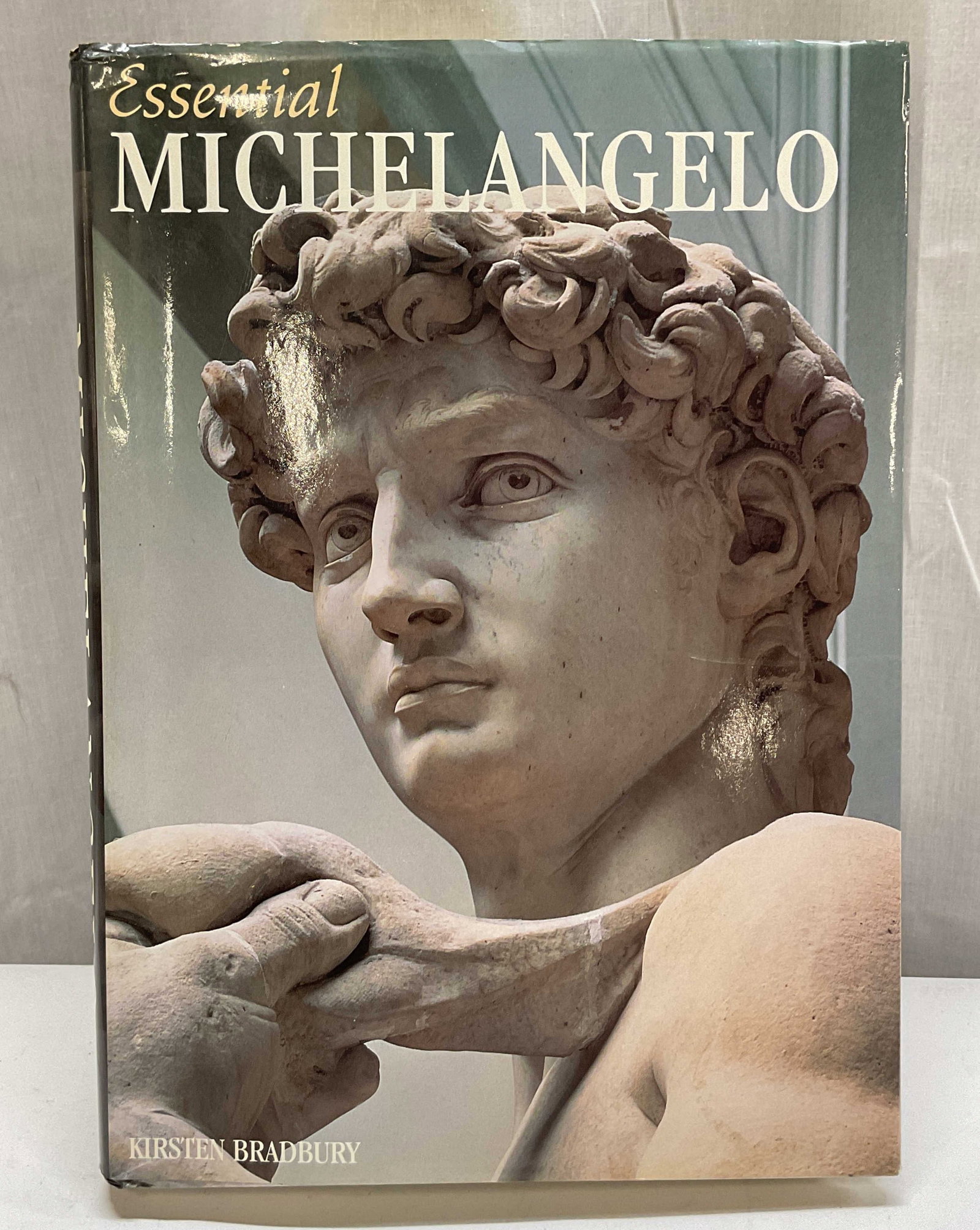 2000 Essential Michelangelo Illus Bk Bradbury+ (1 of 10)