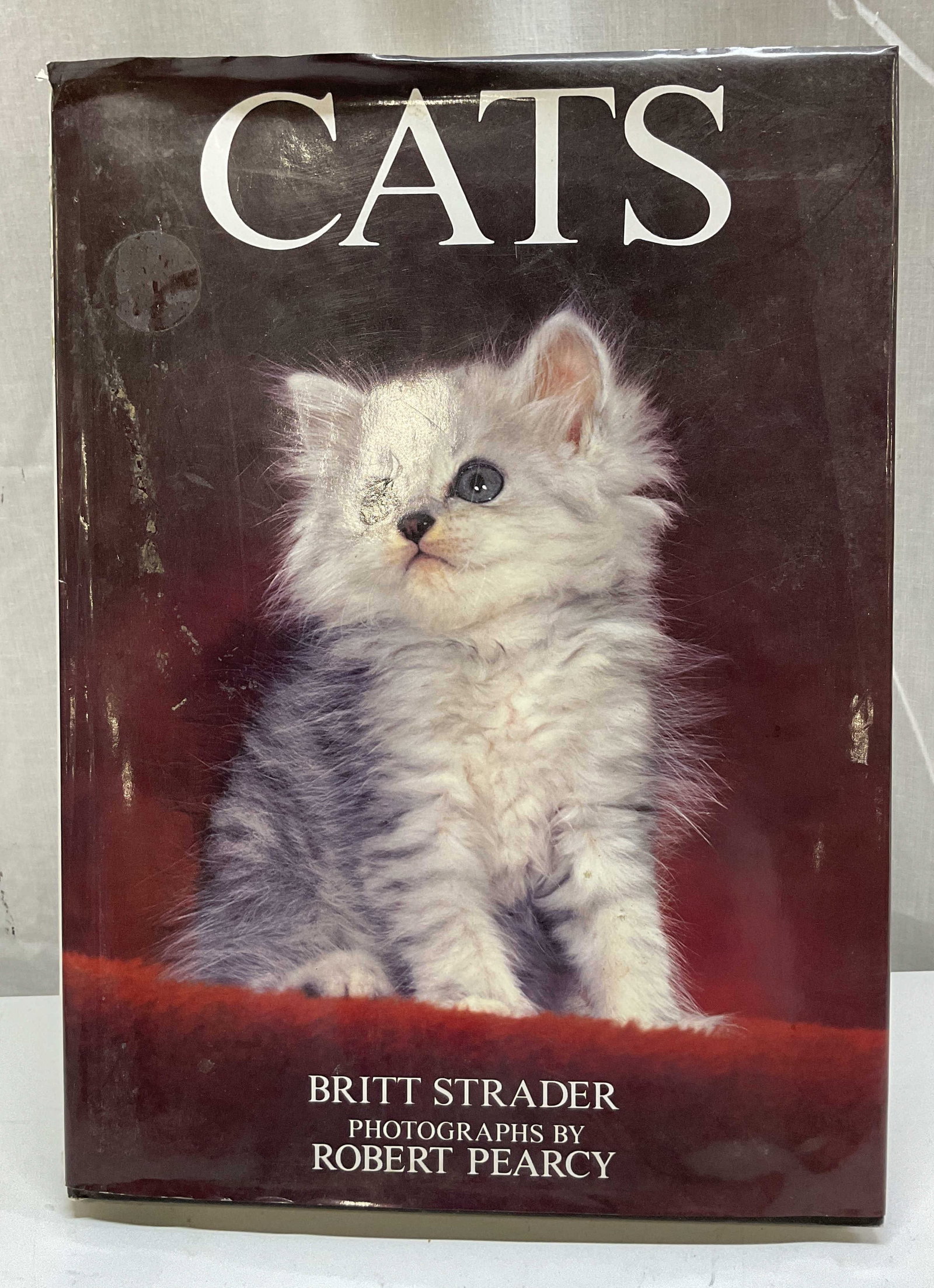 1900s Cats Illustrated Book Strader+: Cats by Britt Strader. Photographs by Robert Pearcy. Published by Thunder Bay Press, 1900s. Hard cover book with illustrated cover. Measures approx 11 x 14.5 inches. Wear to cover, wear to binding,