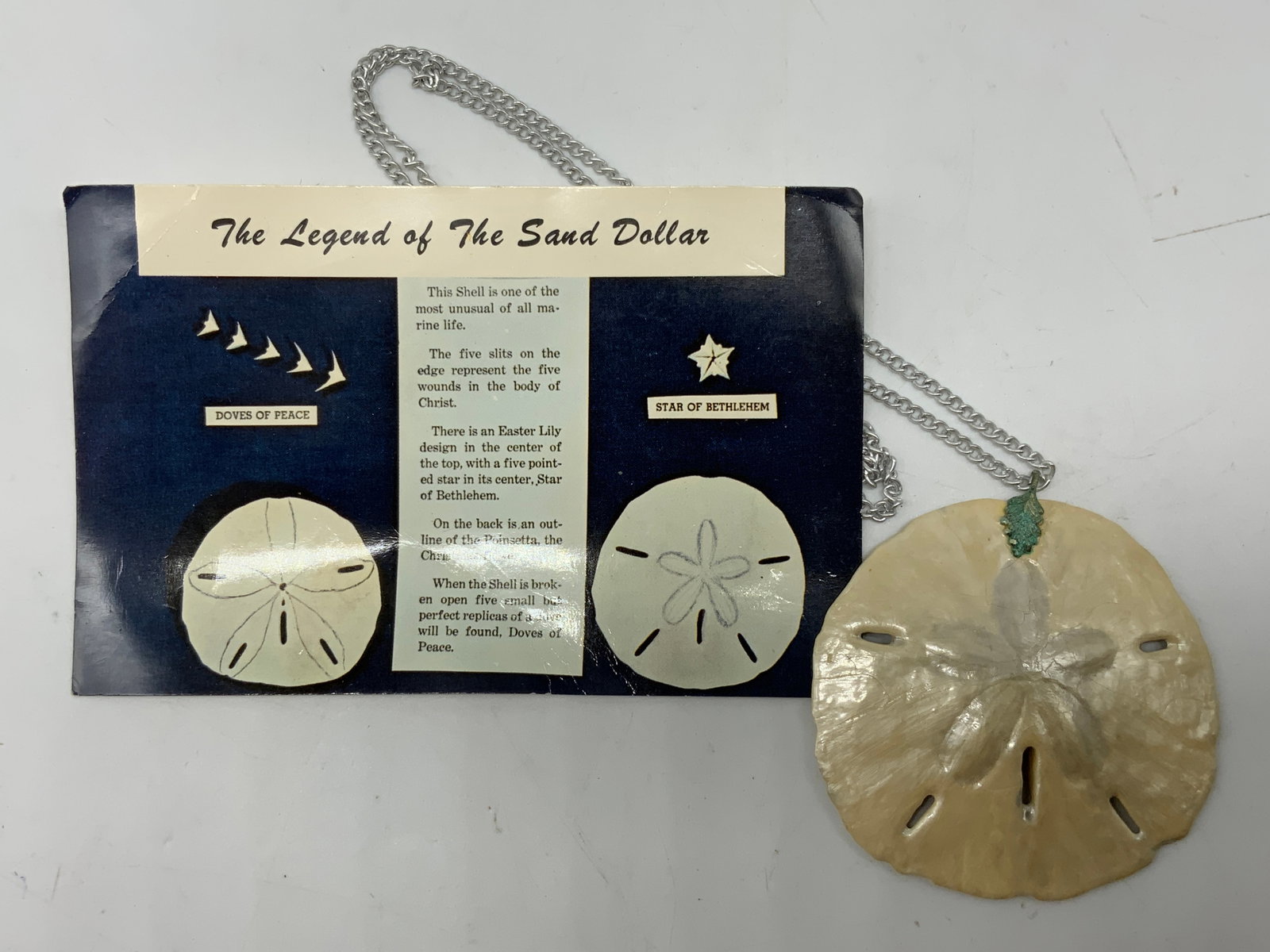 Vtg Sand Dollar Pendant Necklace (1 of 7)