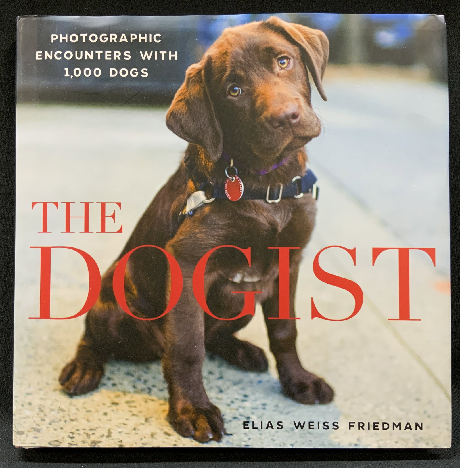 2015 The Dogist E.W. Friedman Illus. Book (1 of 12)