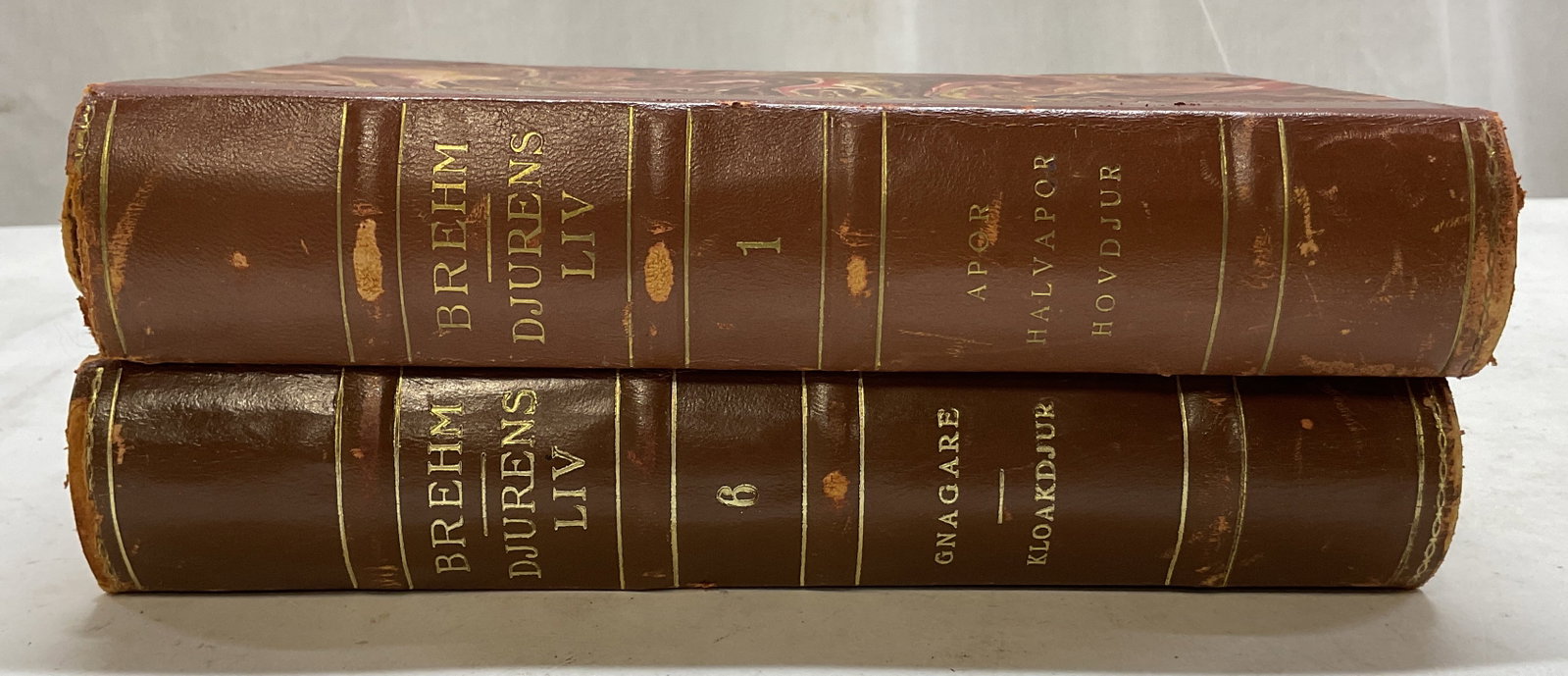 Set 2 1929-30 Brehm Djurens Liv Illus Bks+: Set of 2 books. Djurens Liv by Brehm. First and sixth volume. Published by Malmo, 1929 and 1930. Hard cover leather bound with gilt embossed trim and marble design. Contains illustrations. Text reads 