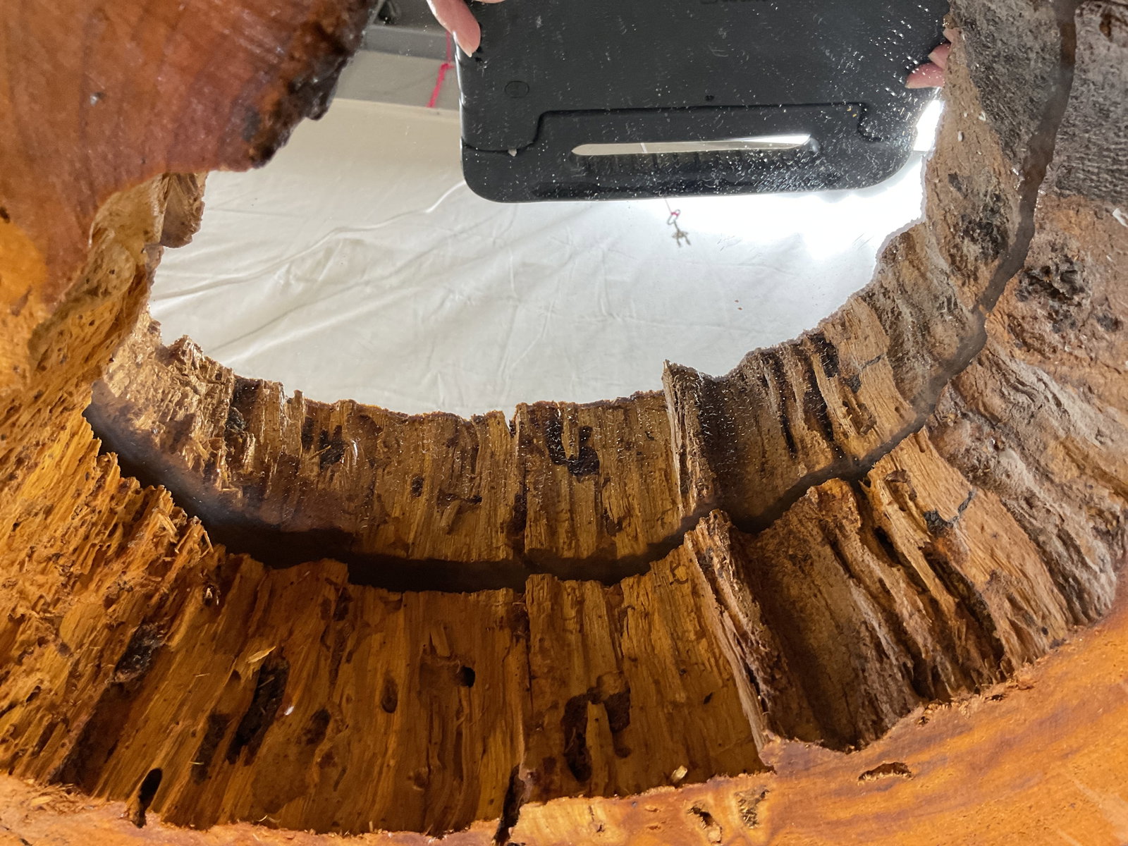 Rustic Hollow Log Live Edge Mirror - 10