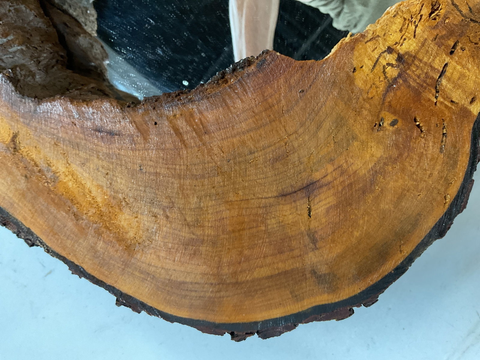 Rustic Hollow Log Live Edge Mirror - 6