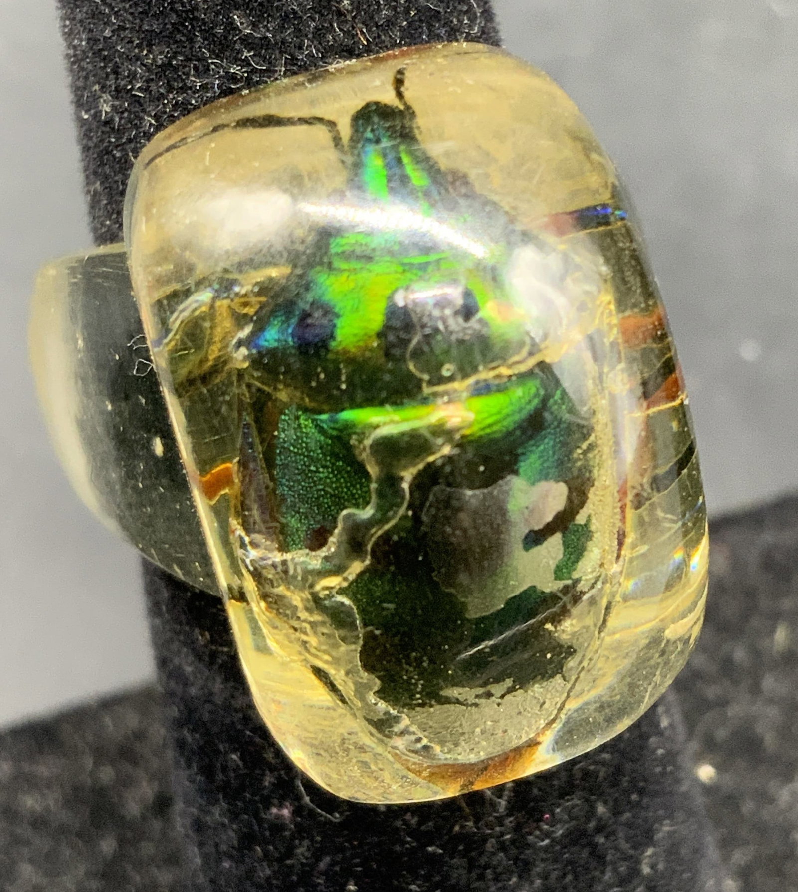 Encased Beetle Lucite Statement Ring (1 of 7)