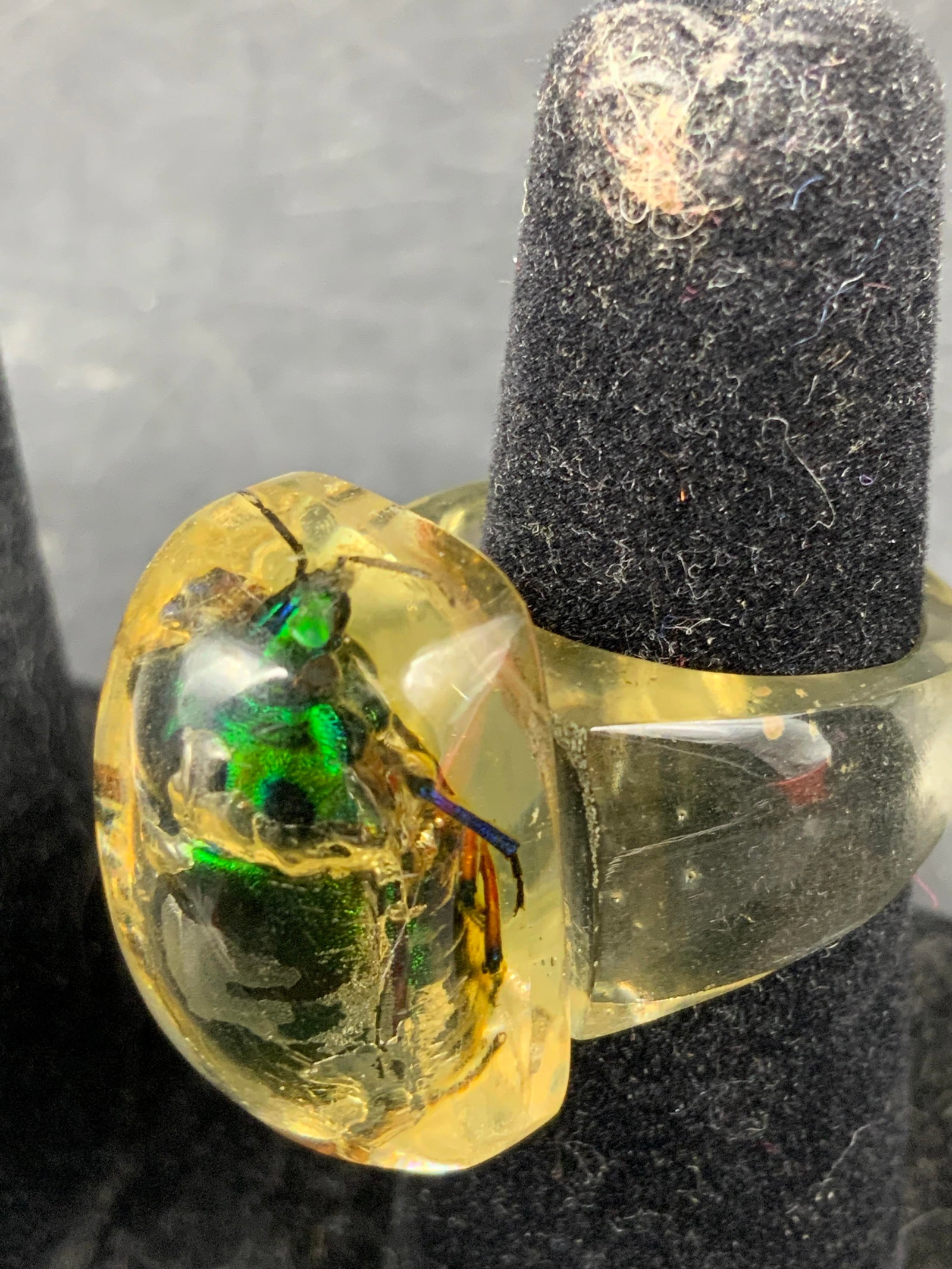 Encased Beetle Lucite Statement Ring - 3
