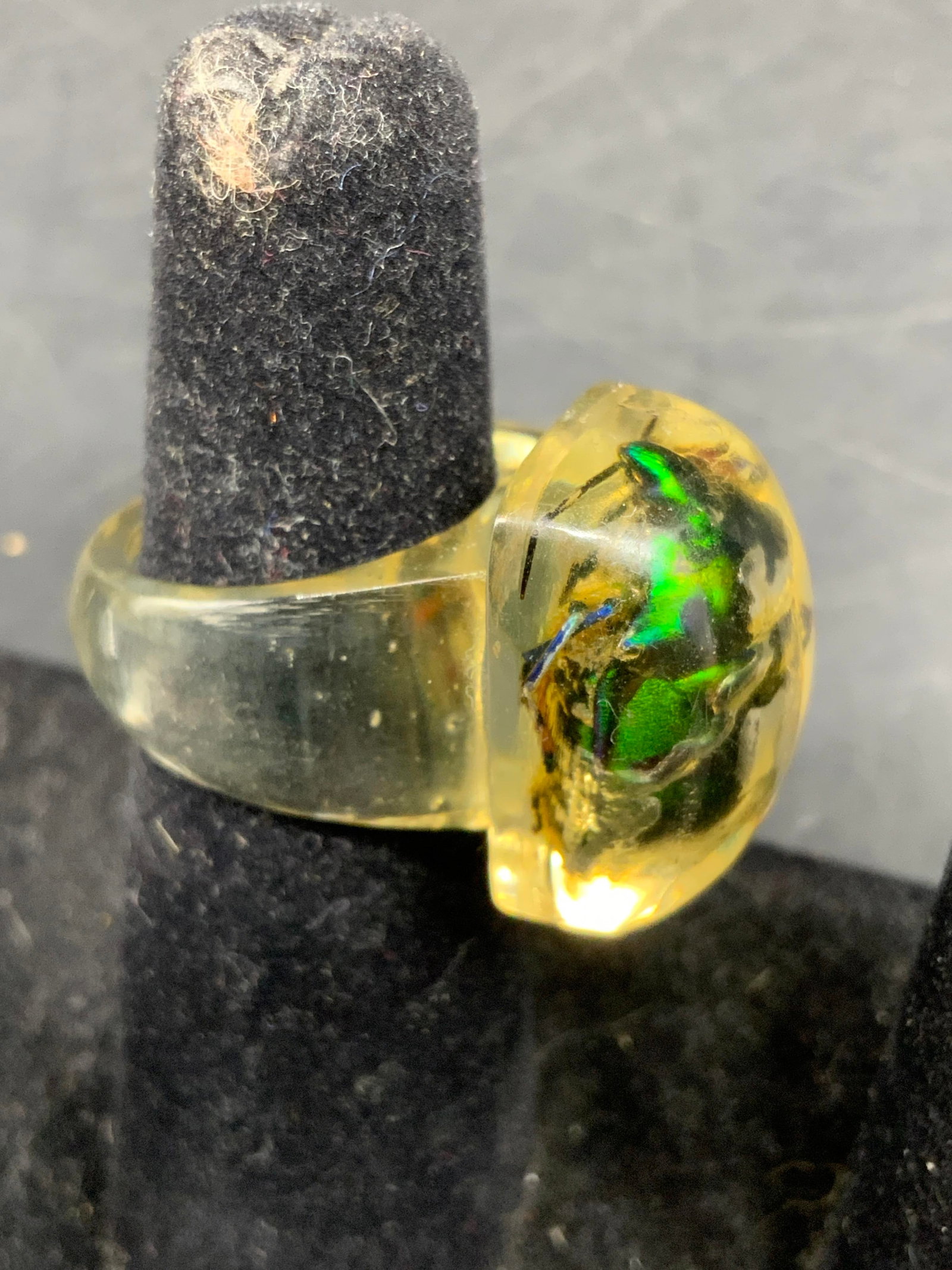 Encased Beetle Lucite Statement Ring - 4