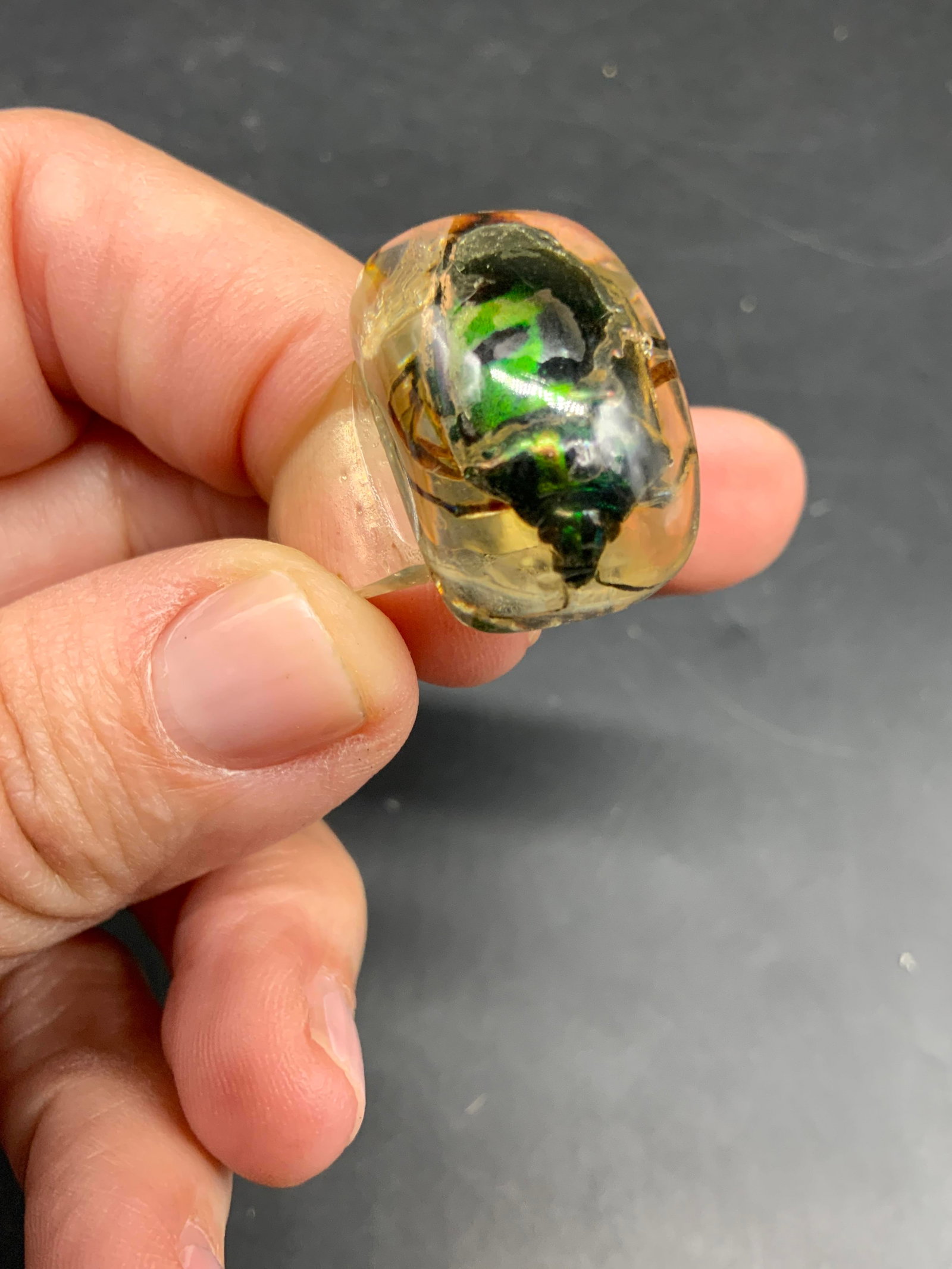 Encased Beetle Lucite Statement Ring - 5