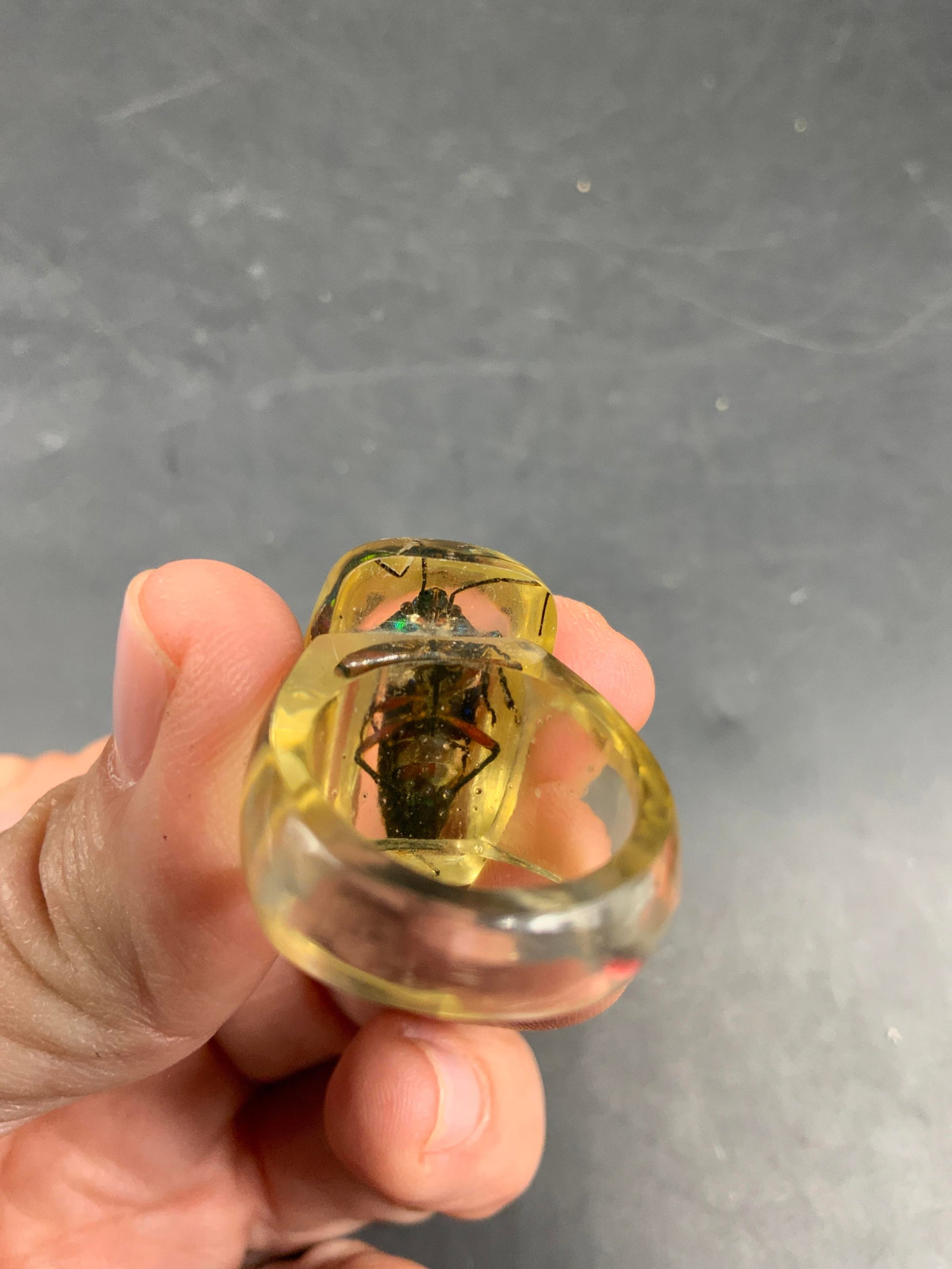 Encased Beetle Lucite Statement Ring - 6