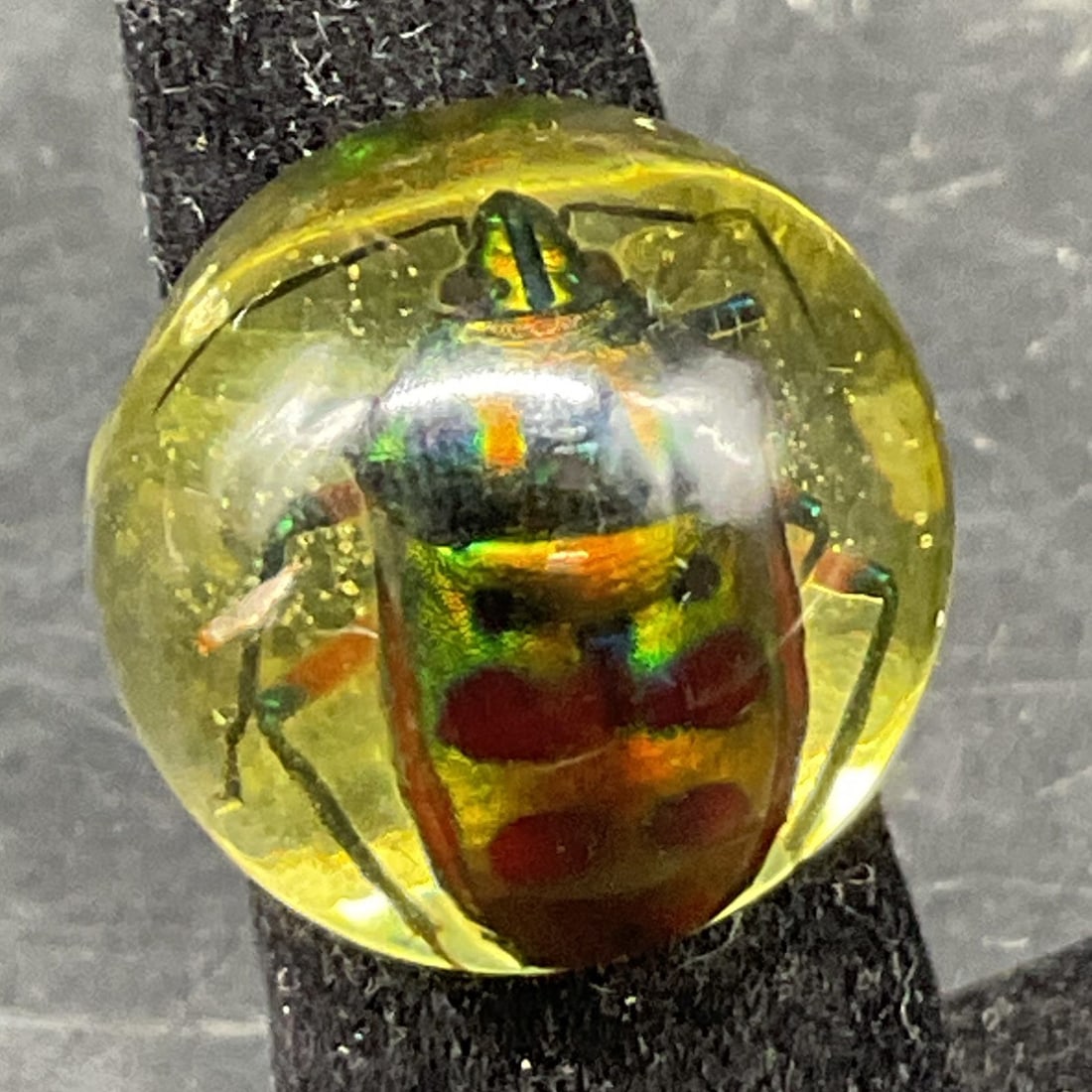 Vintage Encased Beetle Lucite Statement Ring (1 of 7)
