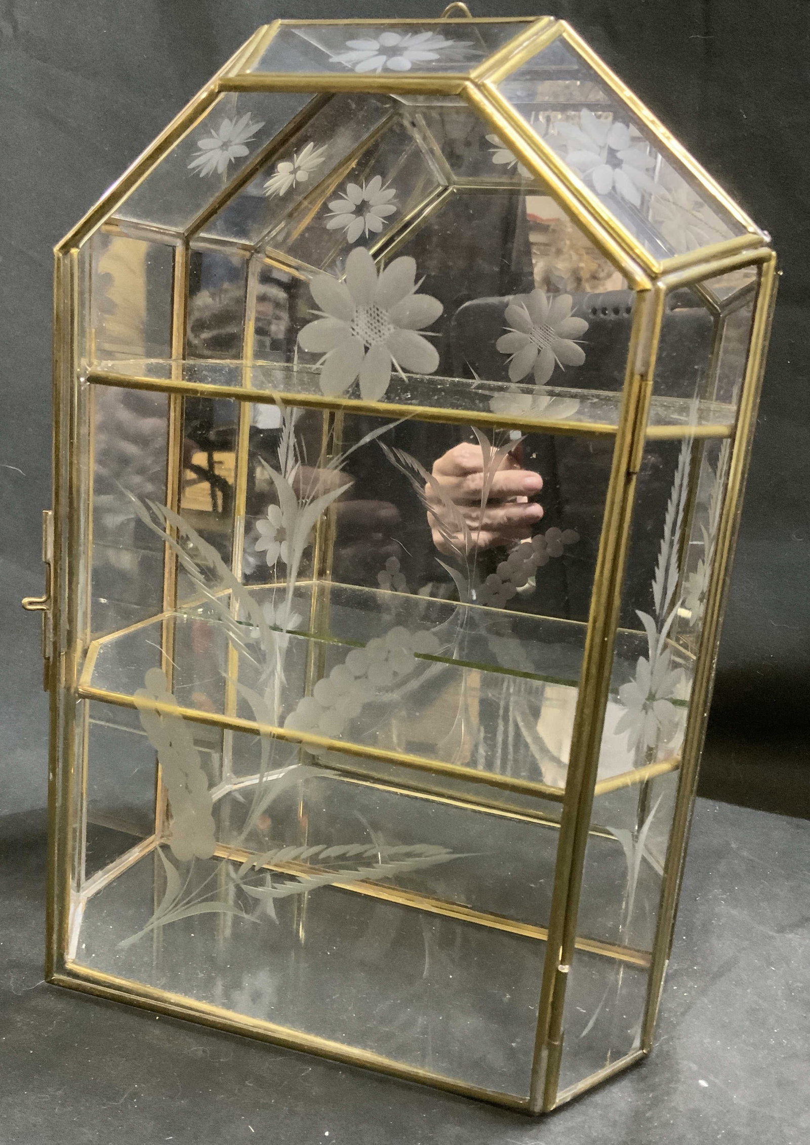 Etched Glass Brass Mirror Display Cabinet (1 of 12)