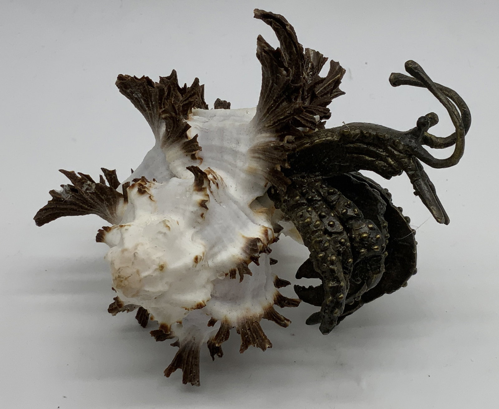 Seashell & Brass Hermit Crab Sculpture Philippines (1 of 6)