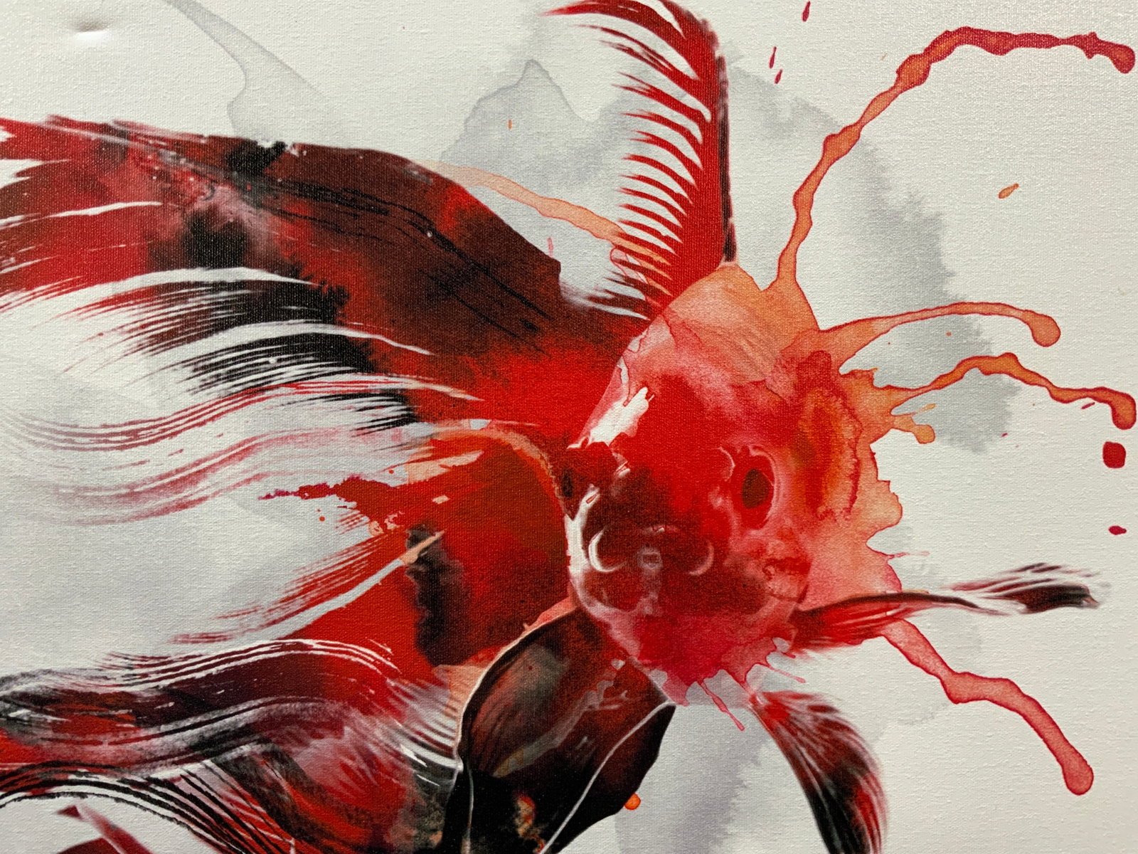 Abstract Beta Fish Painting Print on Canvas: Abstract red black grey and white textural abstracted Beta Fish print of original painting by Signed artist name, signature illegible. Signed in bottom right corner. Digitally printed image on canvas.