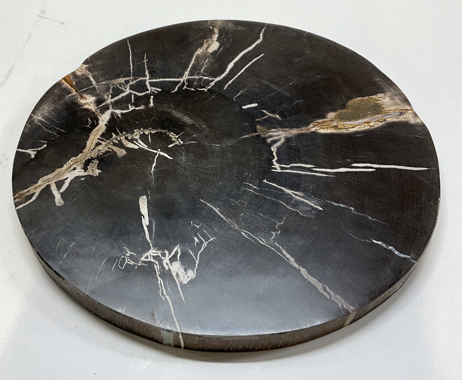 Cast Petrified Wood Decorative Board: Cast petrified wood decorative board. Marked on underside, reads Ring Petrified Wd Brd. Made from resin to mimic the texture and crack details of petrified wood. Round shape. Dark and light tones. Som