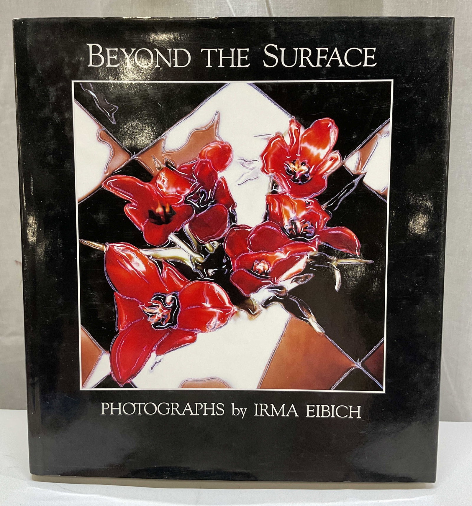 1988 1st Ed Beyond The Surface Photo Bk Eibich+ (1 of 12)