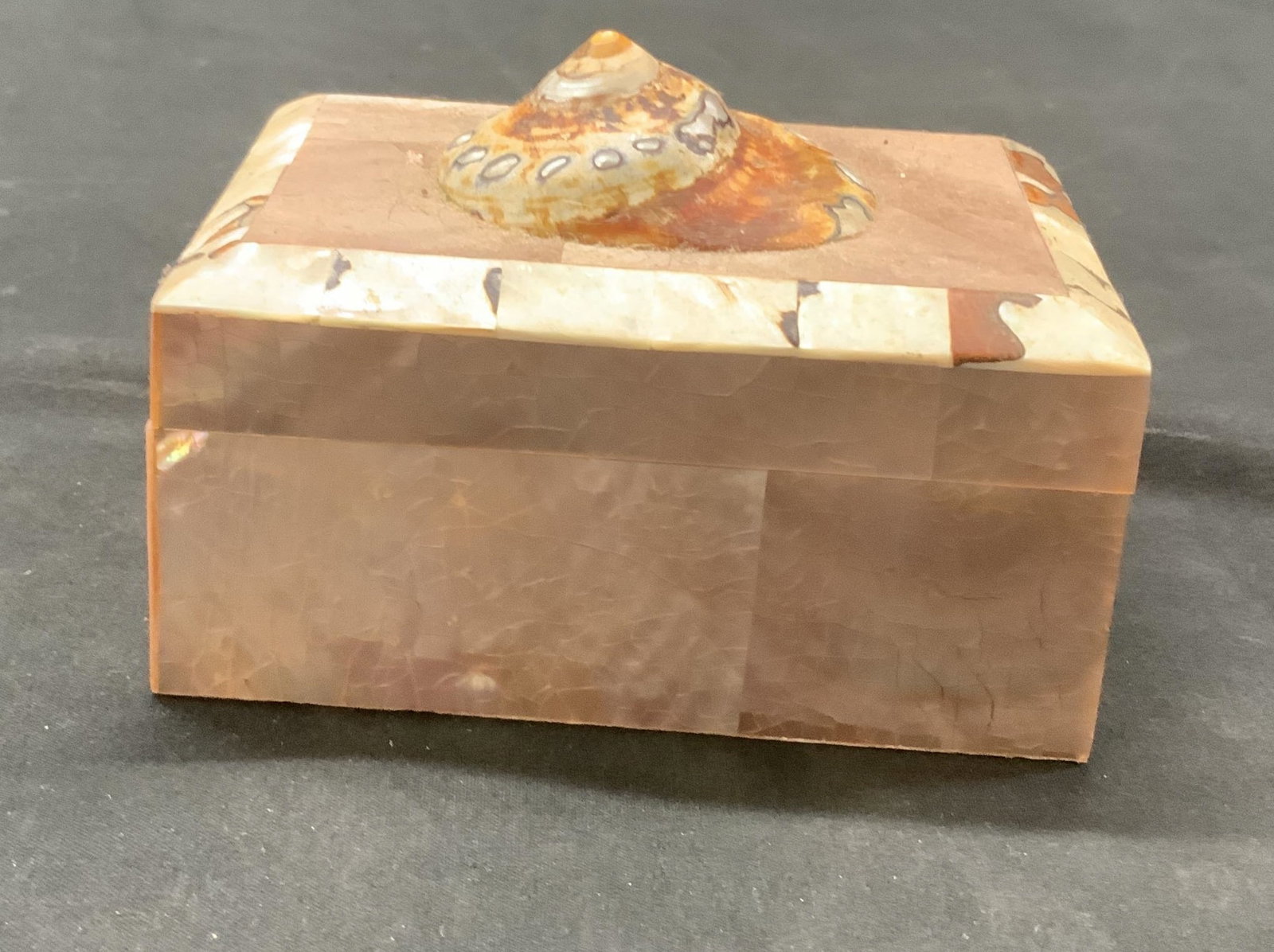 Vntg seashell iridescent trinket box (1 of 7)