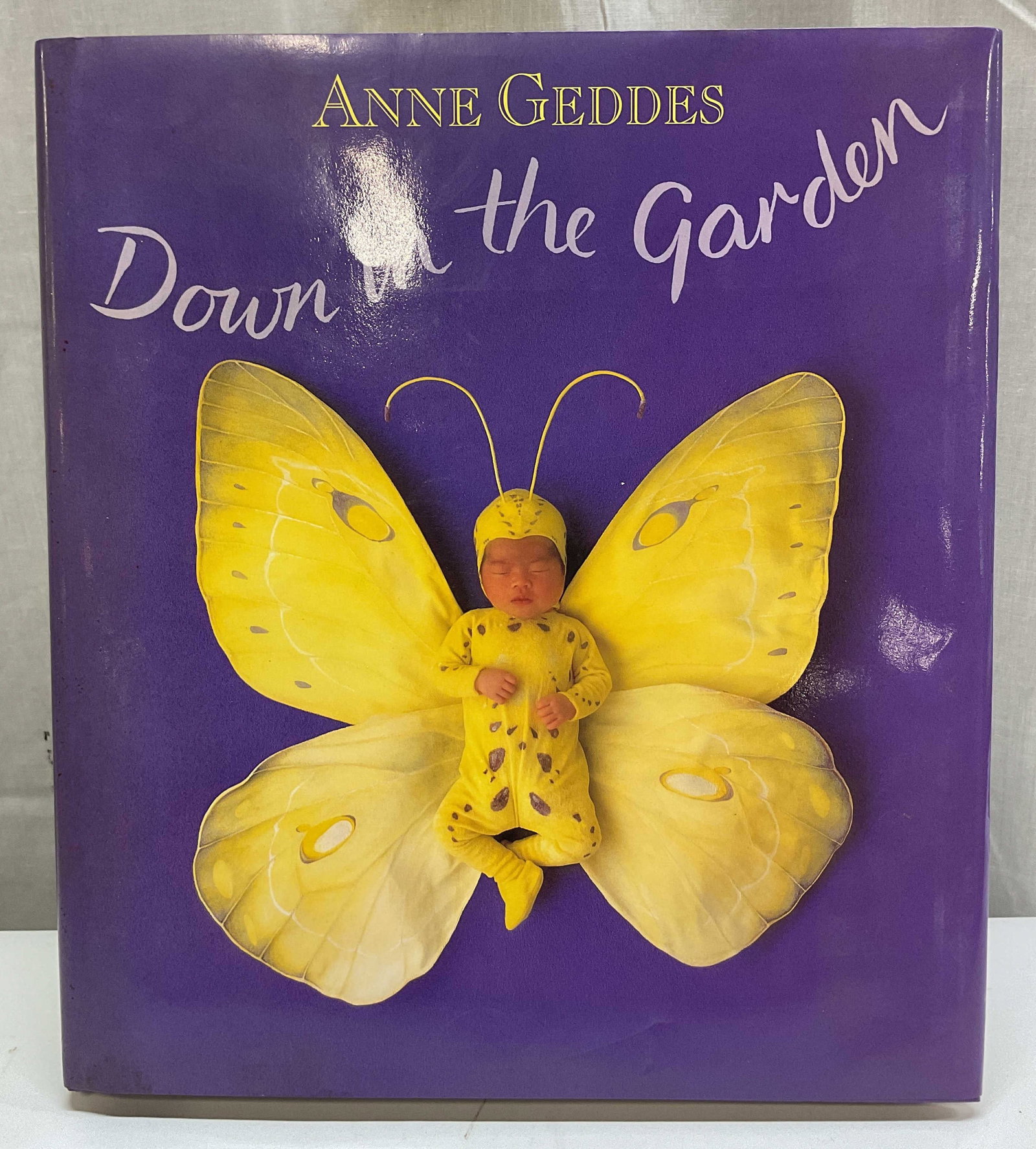 1996 Down In The Garden Illus Book Geddes+: Down In The Garden by Anne Geddes. Published by Cedco, 1996. Hard cover book with illustrated cover. Contains illustrations. Pull out pages. Measures approx 11.5 x 13 inches. Surface wear consistent