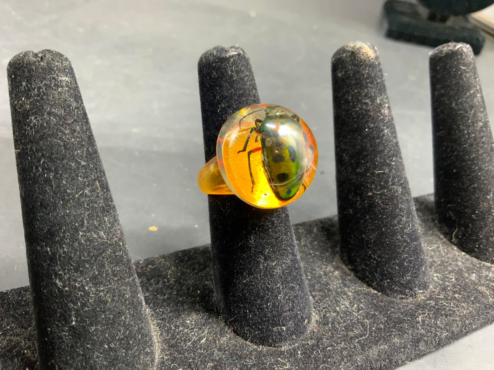 Statement insect inclusion Resin Ring - 3