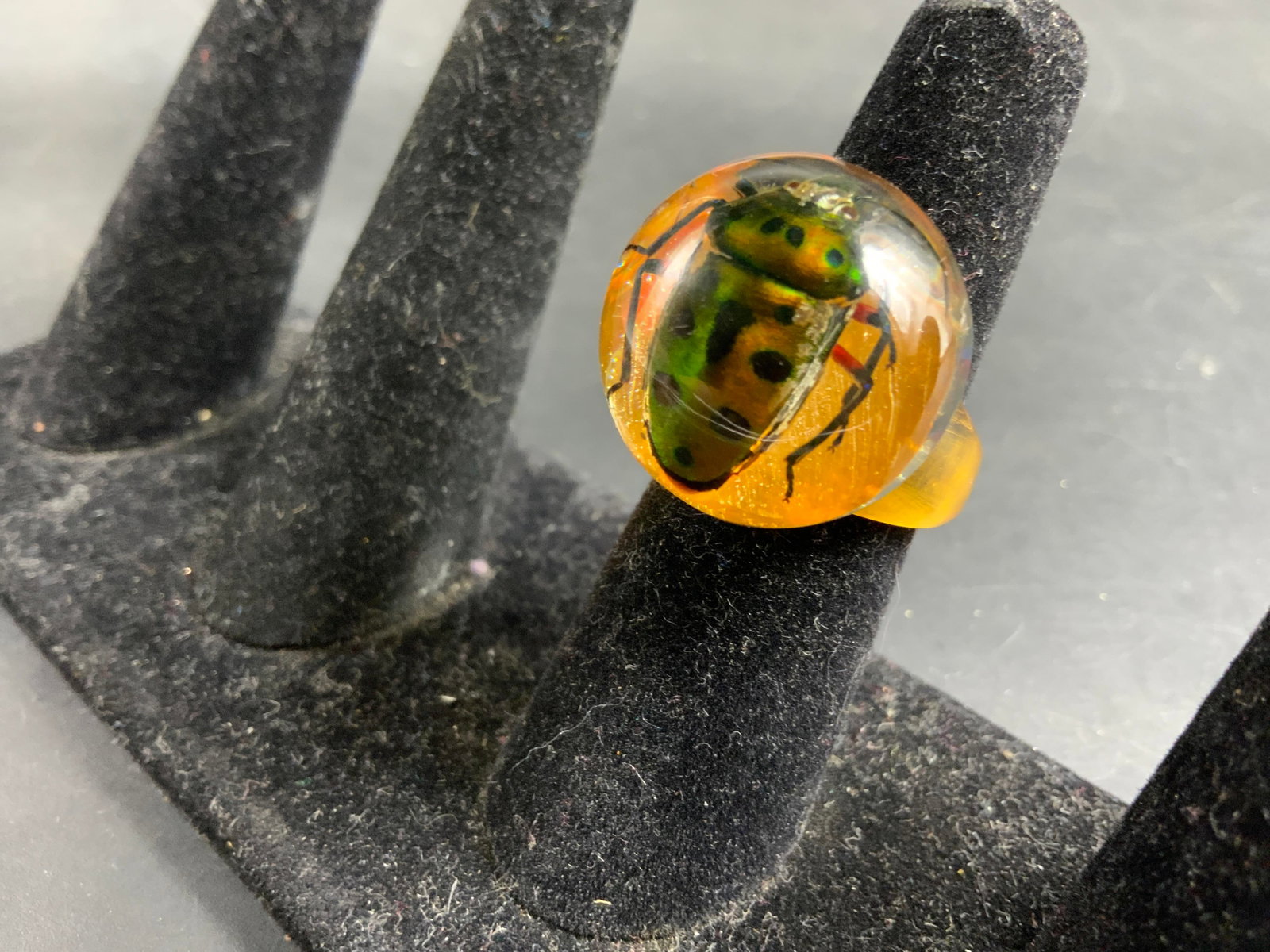 Statement insect inclusion Resin Ring - 4