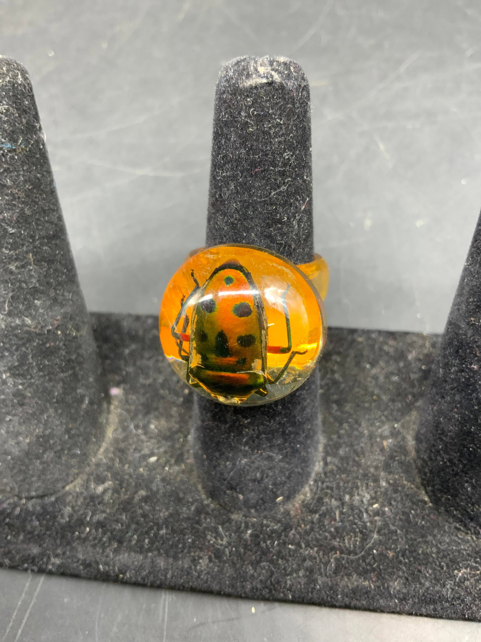 Statement insect inclusion Resin Ring - 5