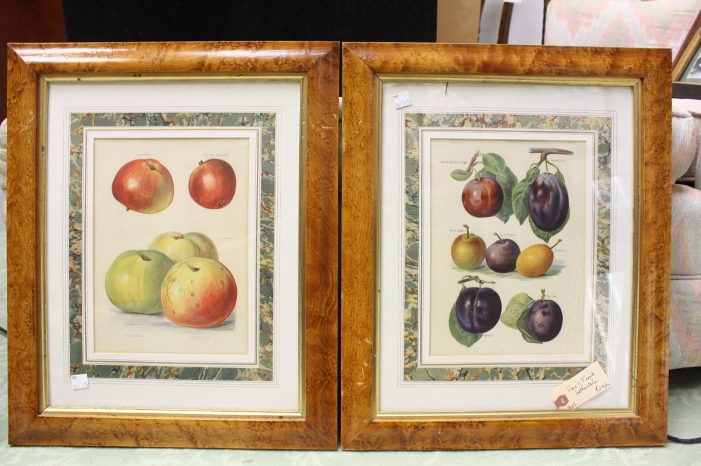 JOHN J RIGHT 1891 Pair of fruit botanciles (1 of 6)