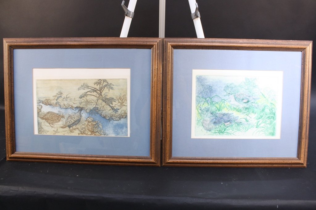 Pair of Bird drawings LOIS GREEN COHEN (1 of 4)