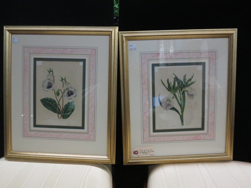 Pair of Original hand colored engravings (1 of 3)
