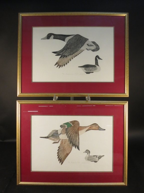 Pair of J. & E. GOULD duck lithograph (1 of 4)
