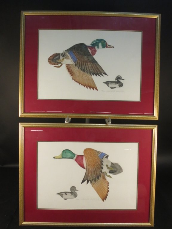 Pair J. & E. GOULD duck lithograph (1 of 4)