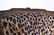 Leopard Upholstered Antique French Side Chair - 3