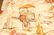 Chinoiserie Custom Lined Window Treatments - 7