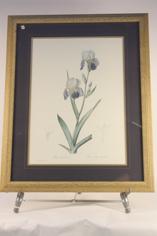 PJ REDOULE Pair of Floral Prints (1 of 10)