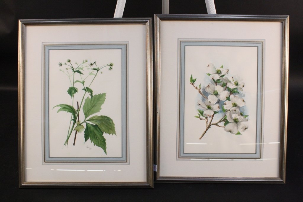 Pair Signed Botanical Watercolors sliverleaf frame (1 of 8)
