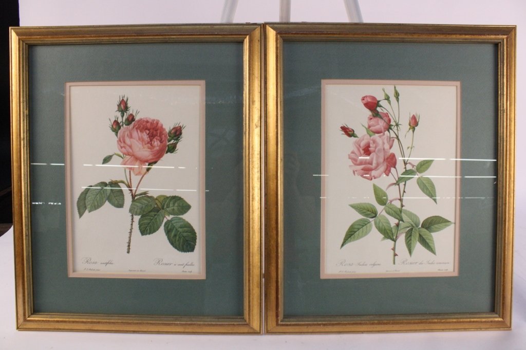 Pair framed Botanicals Roses (1 of 6)