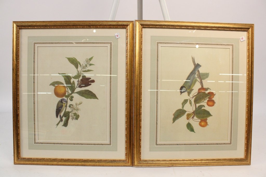Set of Botanical Prints with Birds (1 of 5)