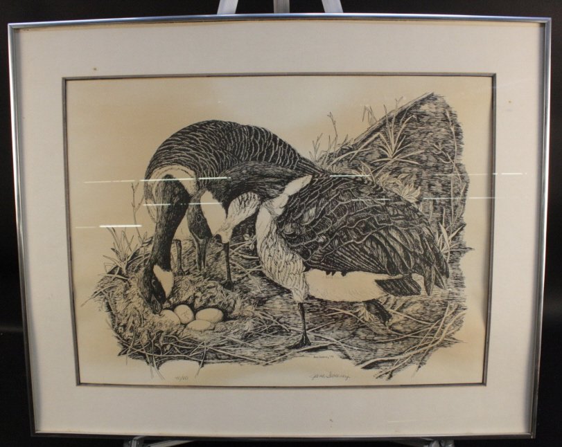 JANE SWEENEY signed Litho 1979: Signed edition 40/80 birds at the nest black and white detailed depiction. Signed Jane Sweeney. Measures 24 inches by 30 inches.