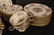 CASTLETON ROSE CHINA Set 70 Pieces - 4