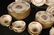 CASTLETON ROSE CHINA Set 70 Pieces - 5