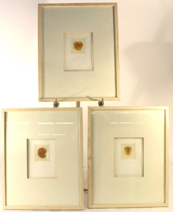 SERAT FIETLE Signed 3 Dried Flowers Framed Art (1 of 5)