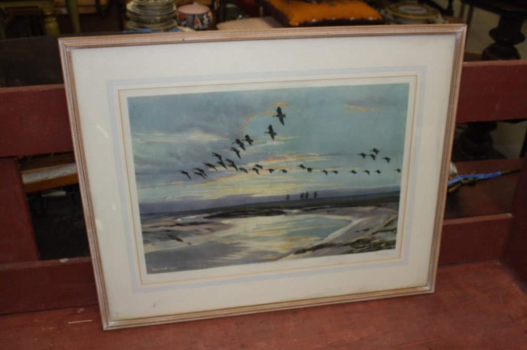 PETER SCOTT Print Birds and Sea (1 of 7)